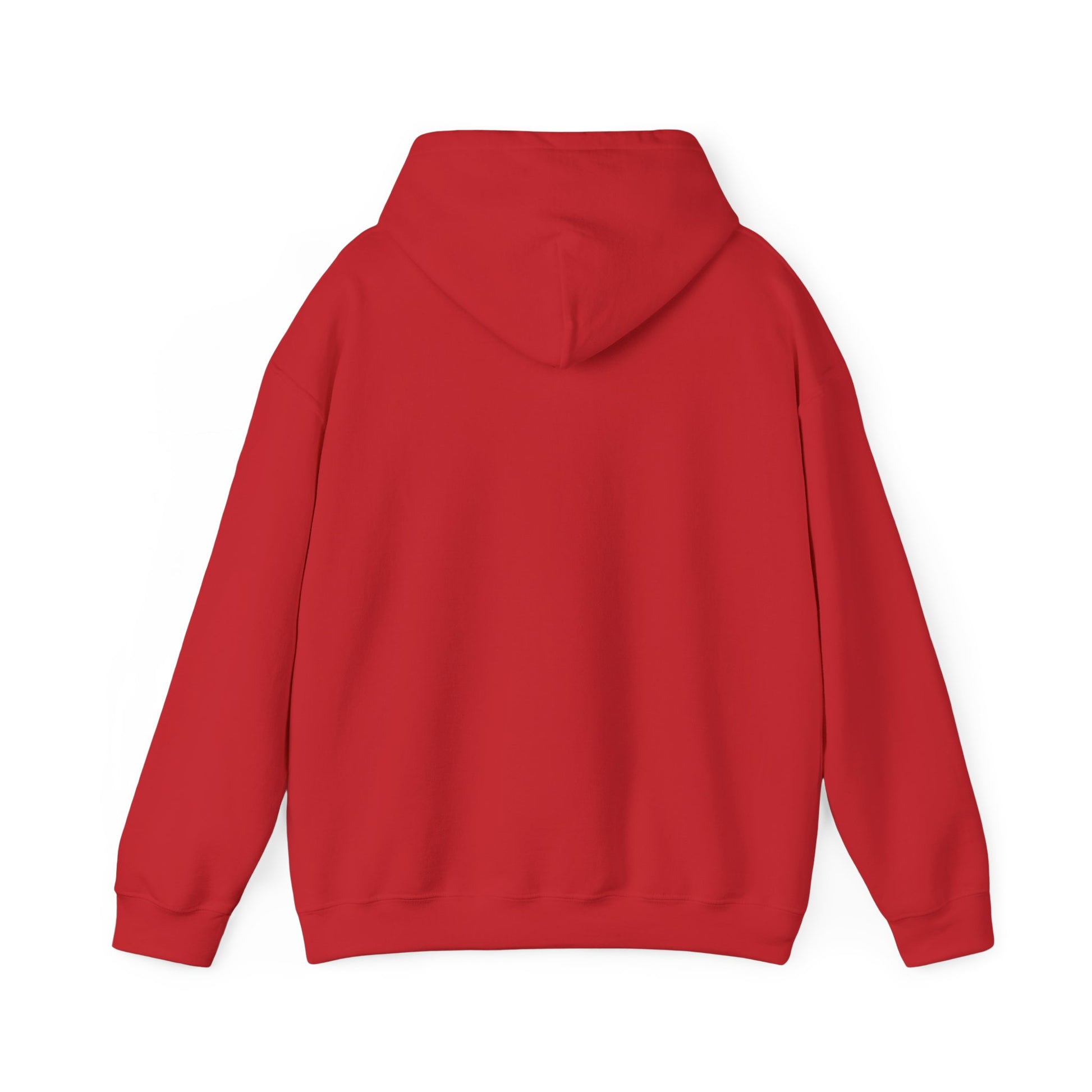 Limitless Potential Hoodie