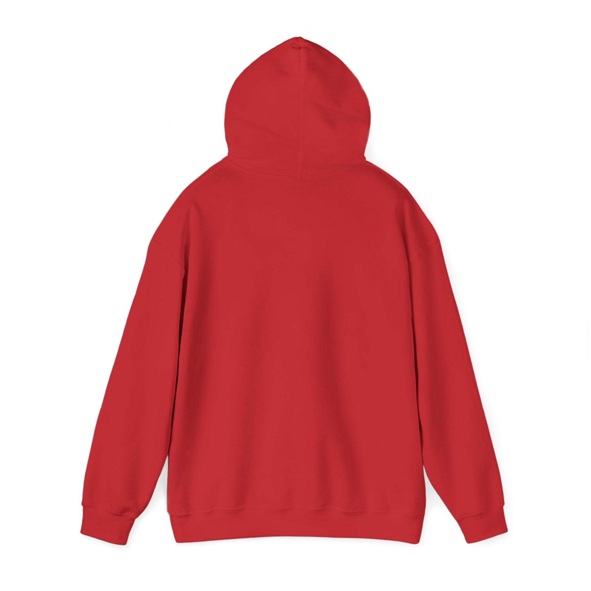 Limitless Potential Hoodie