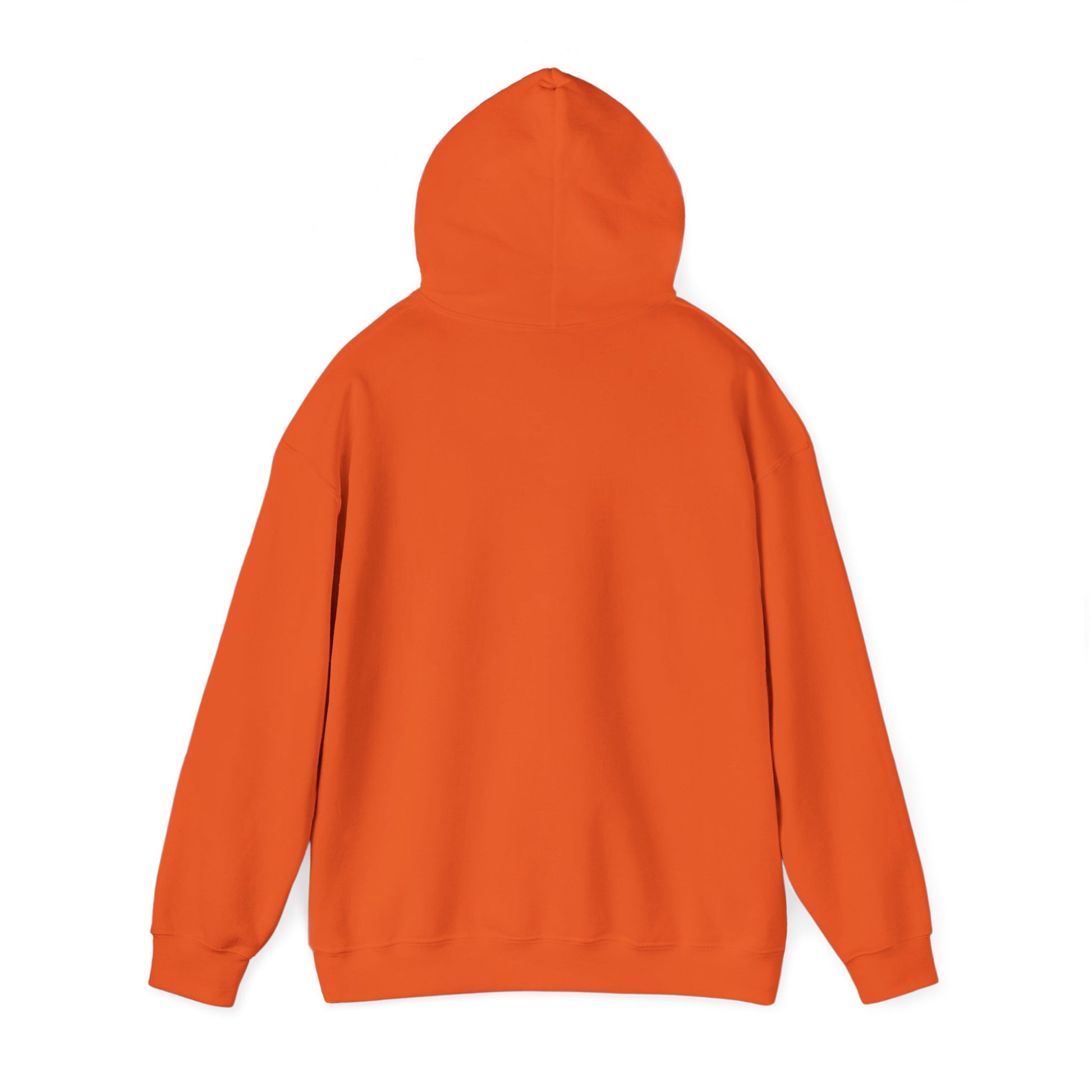 Limitless Potential Hoodie