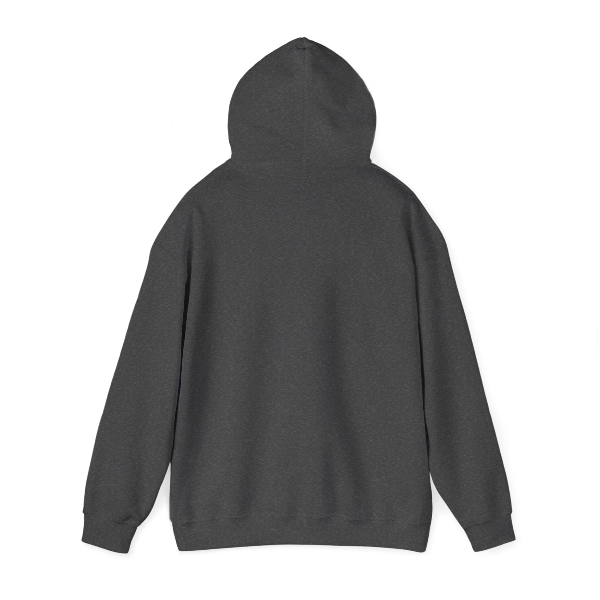 Limitless Potential Hoodie