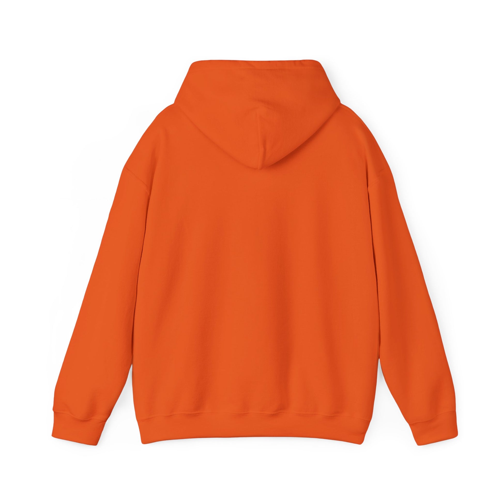 Limitless Potential Hoodie